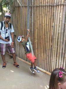 2015-09-06_225457663_48D55_iOS