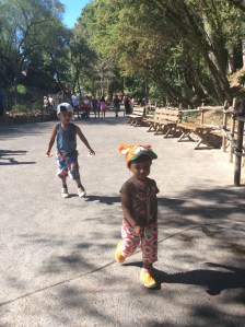 2015-09-07_165418423_742F6_iOS