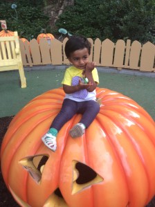 2015-09-10_010527610_CF7F7_iOS